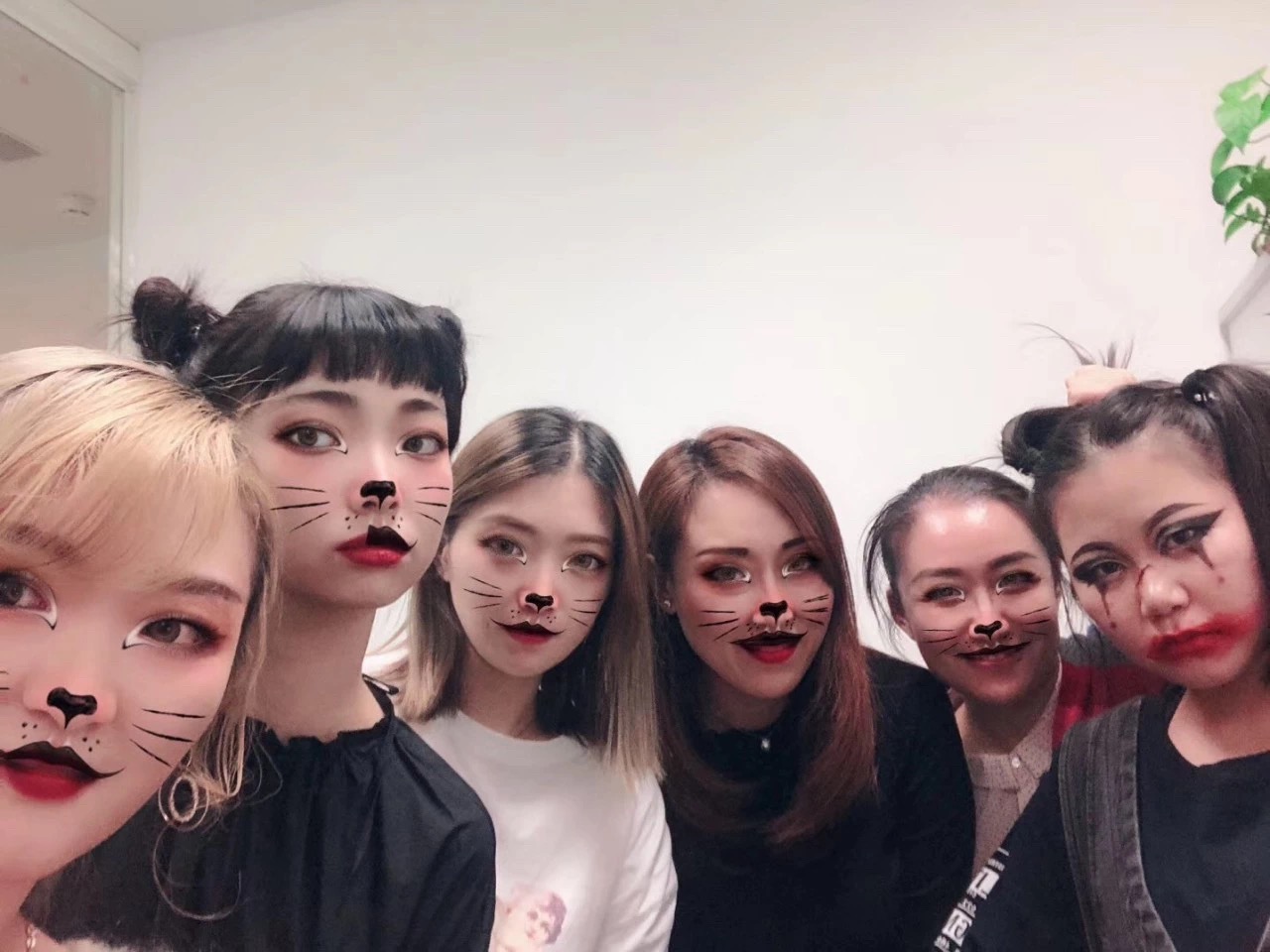 杏彩体育注册_杏彩体育(中国)官方网站